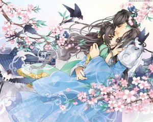 张津瑜10分钟视频